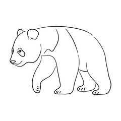 Hand-drawn Panda. Sketch vector illustration.