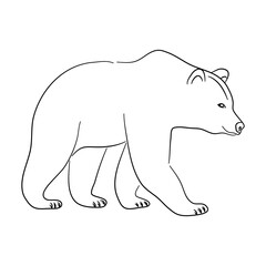 Hand-drawn Brown bear. Sketch vector illustration.