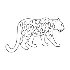 Hand-drawn Leopard. Sketch vector illustration.