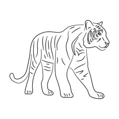 Silhouette of a Tiger made in sketch style. Vector illustration.
