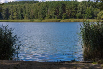 Landscape, view of the lake and the shore, green trees and water surface