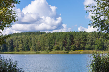 Fototapeta premium Landscape, view of the lake and the shore, green trees and water surface