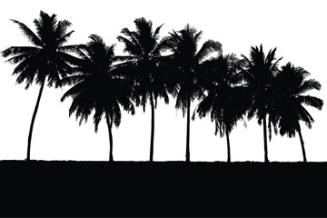 coconut tree silhouette vector illustration on white background