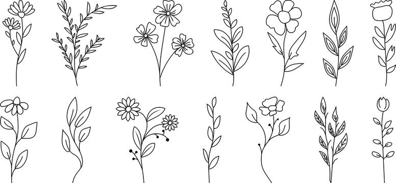 Set of wild flowers and leaves. PNG