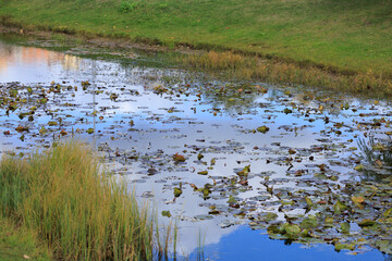 Landscape, view of the lake and the shore. Background for design