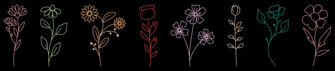 Set of colors wild flower icons. Collection of hand drawn line botanical elements. Vector illustration isolated on black baground