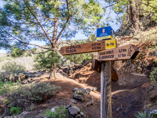 Walking from Roque Nublo to Tejeda on the island of Gran Canaria, Canary Islands, Spain - 613949307