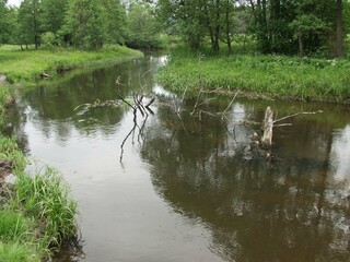 Landscape, view of the lake and the shore. Background for design