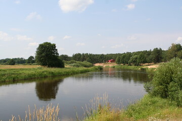 Landscape, view of the lake and the shore, green trees and water surface