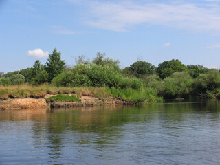 Landscape, view of the lake and the shore, green trees and water surface