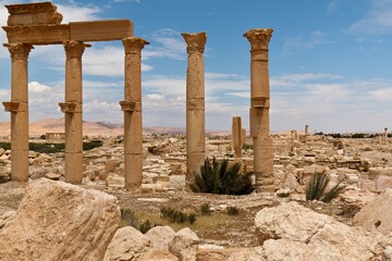 Fototapeta premium View of the ruins of the ancient Palmyra city built in the 1st to 2nd century. UNESCO World Heritage. Syria.