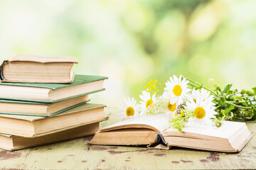 Book with opened pages in shape of heart and stacked books on reading desk in a garden. National library, books lovers day or month. Back to school or education learning background. Copy space