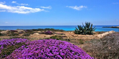 Image of Lampedusa Island nature reserve. Sicily, Italy - obrazy, fototapety, plakaty