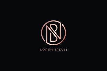 NB letter rose gold minimalist brand design modern style creative wordmark design typography illustration, nb fashion logo, nb golden
