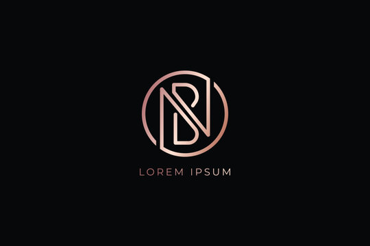 NB letter rose gold minimalist brand design modern style creative wordmark design typography illustration, nb fashion logo, nb golden