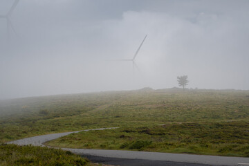 wind turbines in the fog