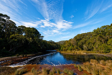 A beautiful river with pools, flowing through the rain forest near Nature's Valley, South Africa. © Jacques Hugo