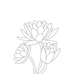 Bouquet of Water Lily Hand Drawn Tattoo Engraved illustration Sketch Coloring Page