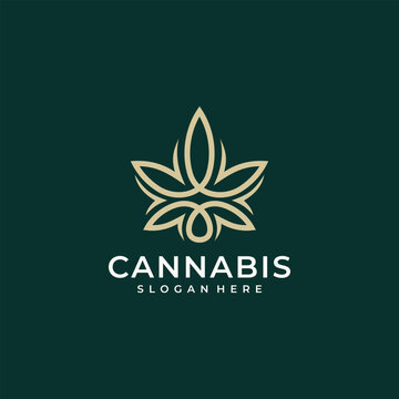 Cannabis line logo design vector