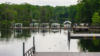 boats in the harbor