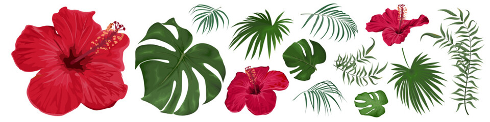 Large vector set of tropical plants and flowers on a white background. Red hibiscus, palm leaves and other tropical plants. Vector illustration © Alena