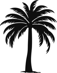 palm tree isolated image illustration