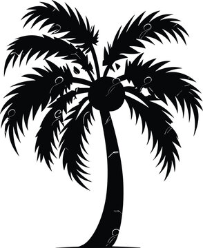 palm tree isolated image illustration