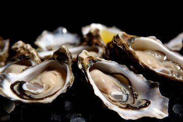 Naklejka premium Fresh oysters on ice, elegant serving