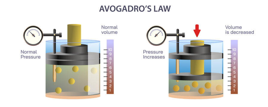Avogadro's law, principle or hypothesis is a gas law. the total number of atoms, molecules of a gas is directly proportional to the volume occupied by gas at constant temperature and pressure vector.