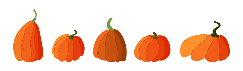 Orange pumpkin set different shapes. Autumn halloween pumpkin, vegetable graphic icon or print