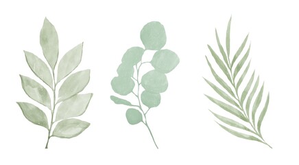 Drawing of branches in watercolor, green sprigs hand-painted on a white background, watercolor ditaly, green watercolor to decorate postcards and invitations ,olive branch isolated on white background