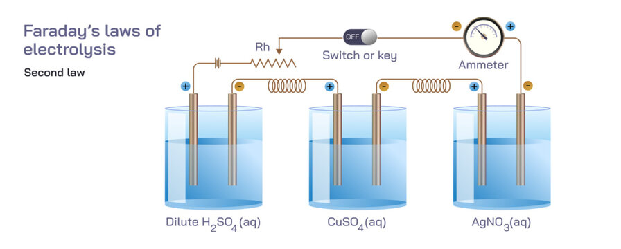 Faraday's First Law and second law of Electrolysis vector illustration. chemical reaction at electrode under electrical energy proportional to electricity passed through electrolyte. general physics 