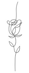 Rose flower - vector illustration (sketch), one-line silhouette without background (clipart).
