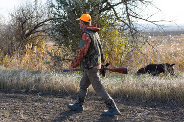 Mature man hunter with gun while walking on field with your dogs