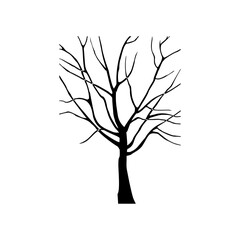 Figure oak red on a white background. Architectonics of the crown of red oak. The structure of the trunk and branches of a tree inscribed in a rectangle.