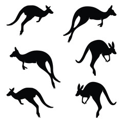 Kangaroo silhouette jumping. Silhouette animal collection.