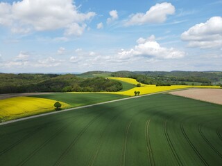 Obraz premium View from above of a landscape with growing wheat field, blooming canola field, a road and a nice blue sky with white clouds in spring 