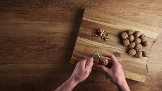A man shelling walnuts with a steel nutcracker over a wooden surface.