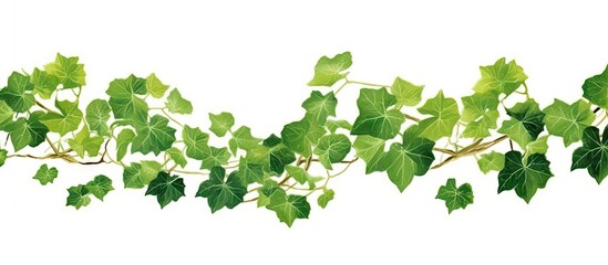 Plakat leaves_of_a_grape_bush_grow_on_a_branch