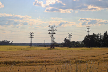 The landscape with a field and high-voltage poles