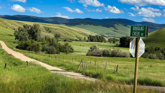 Rural gravel road in a pastoral setting with fences in Montana