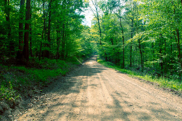 Fototapeta premium Dirt Road