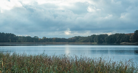 Sunset at a sea with reed at autumn in Mecklenburg-West Pomerania