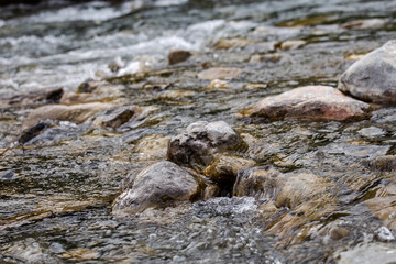Fototapeta na wymiar close-up of rocks in a mountain river in summer