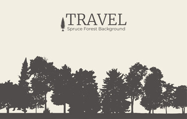 Fototapeta premium Spruce forest background. Pine silhouette background