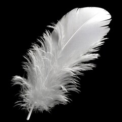 white_feather