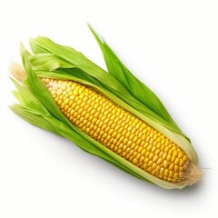 Corn on white background, Corn isolated into the white background, corn with leaves