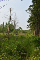 La Plaine 16 Juin 2023