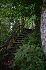 La Plaine 16 Juin 2023