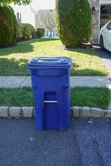 A blue recycling bin on an asphalt street near a gray brick curb